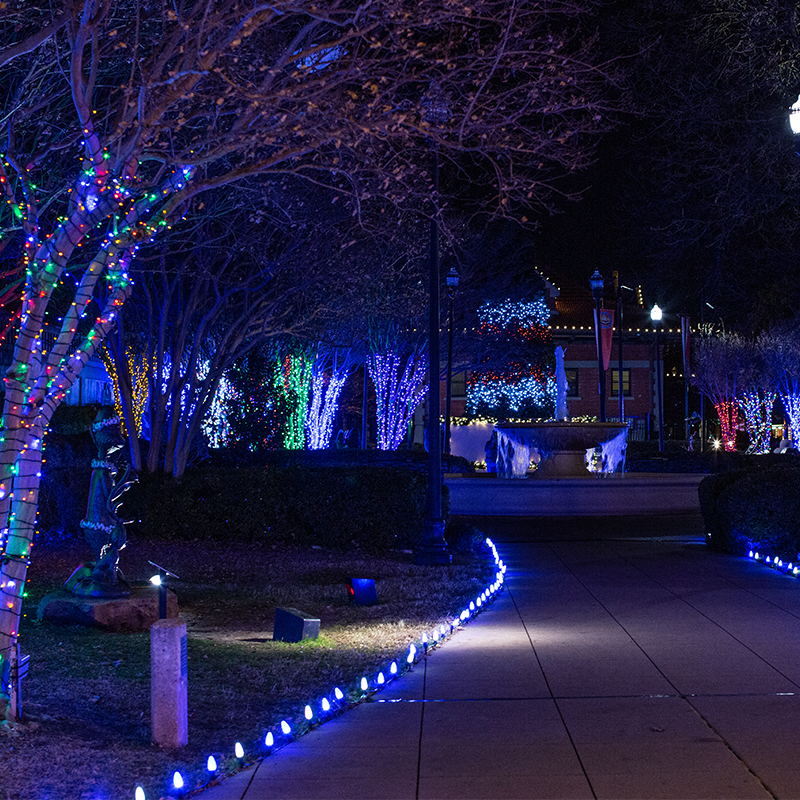 local christmas light contractors in abilene tx