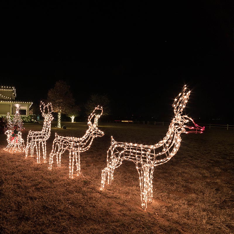 holiday lighting display and installation